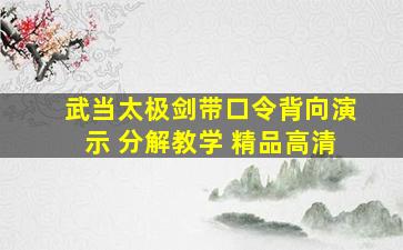 武当太极剑带口令背向演示 分解教学 精品高清